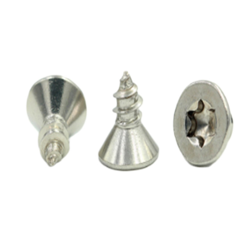 Mini skrutka M1.6 so zápustnou hlavou torx z nehrdzavejúcej ocele CD vzor (1) Mini skrutka M1.6 so zápustnou hlavou torx z nehrdzavejúcej ocele CD vzor (1)